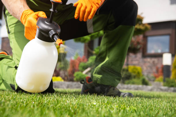 Trusted Hoxie, KS Pest Control Experts