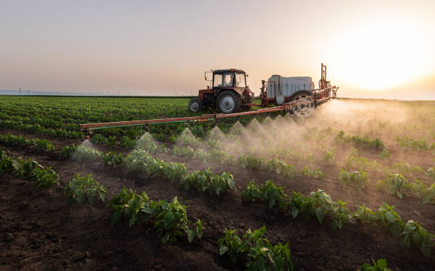 Best Affordable Exterminators  in Hoxie, KS