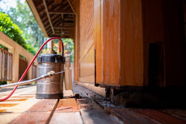 Best Best Pest Control Companies  in Hoxie, KS