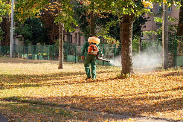 Best Pest Control Near Me  in Hoxie, KS