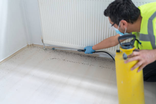 Best Best Pest Control Companies  in Hoxie, KS
