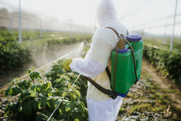Best Commercial Pest Control Services  in Hoxie, KS